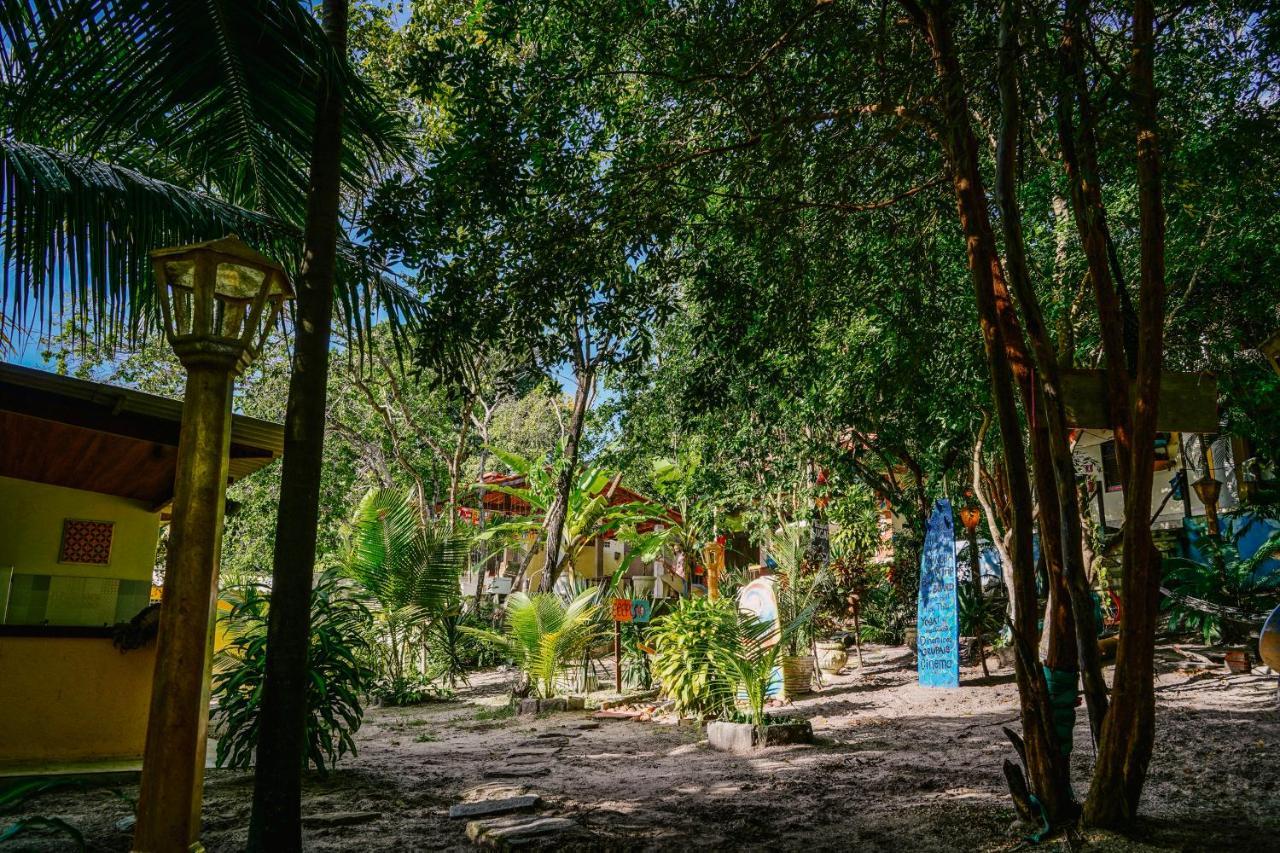 Praia de Pipa Macaco Surf Hostel מראה חיצוני תמונה