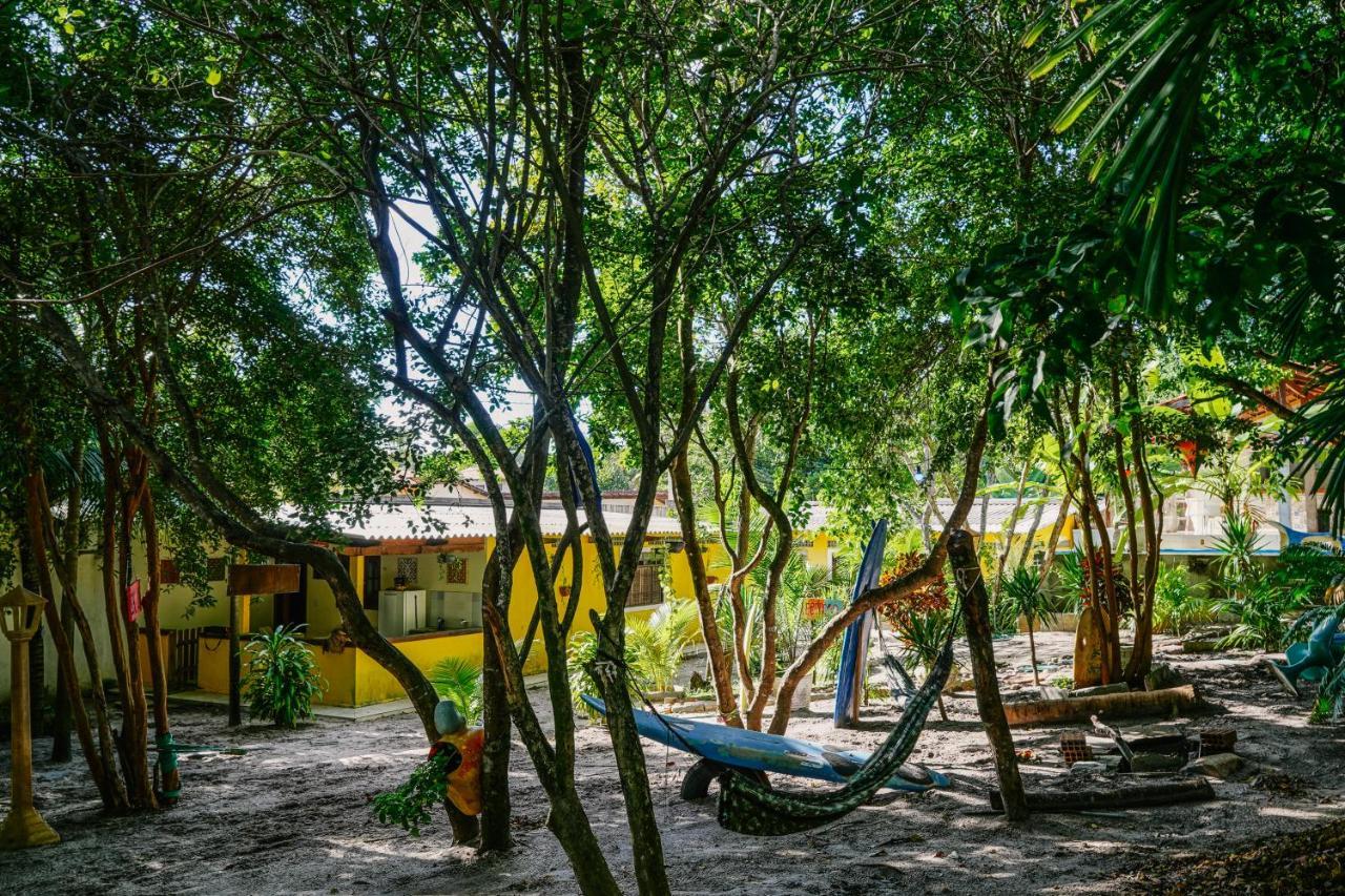 Praia de Pipa Macaco Surf Hostel מראה חיצוני תמונה
